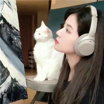 轻骑兵的冲锋